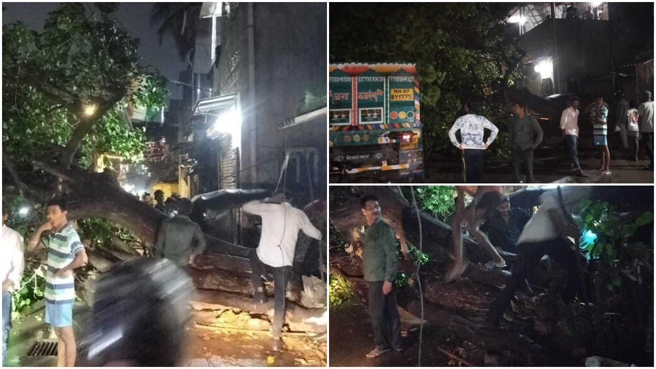 Iकल मुंबई में आए तूफान से मालवानी में गिरा पेड़, मार्वे क्रॉस रोड पर ट्रैफिक जाम