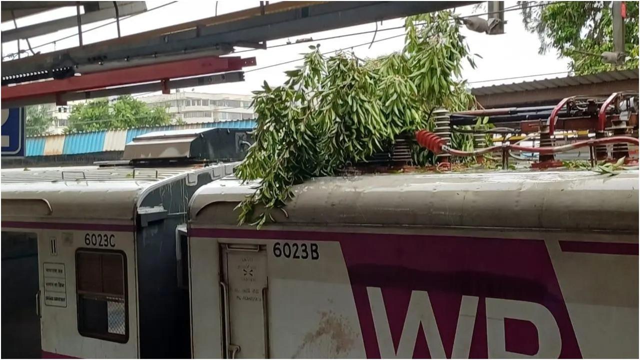 ओवरहेड इक्विपमेंट (ओएचई) पर कपड़े का टुकड़ा गिरने की घटना और एक अन्य स्थान पर पेड़ की टहनी गिरने की घटना की सूचना मिली है. तस्वीर/राजेंद्र बी. अकलेकर के माध्यम से