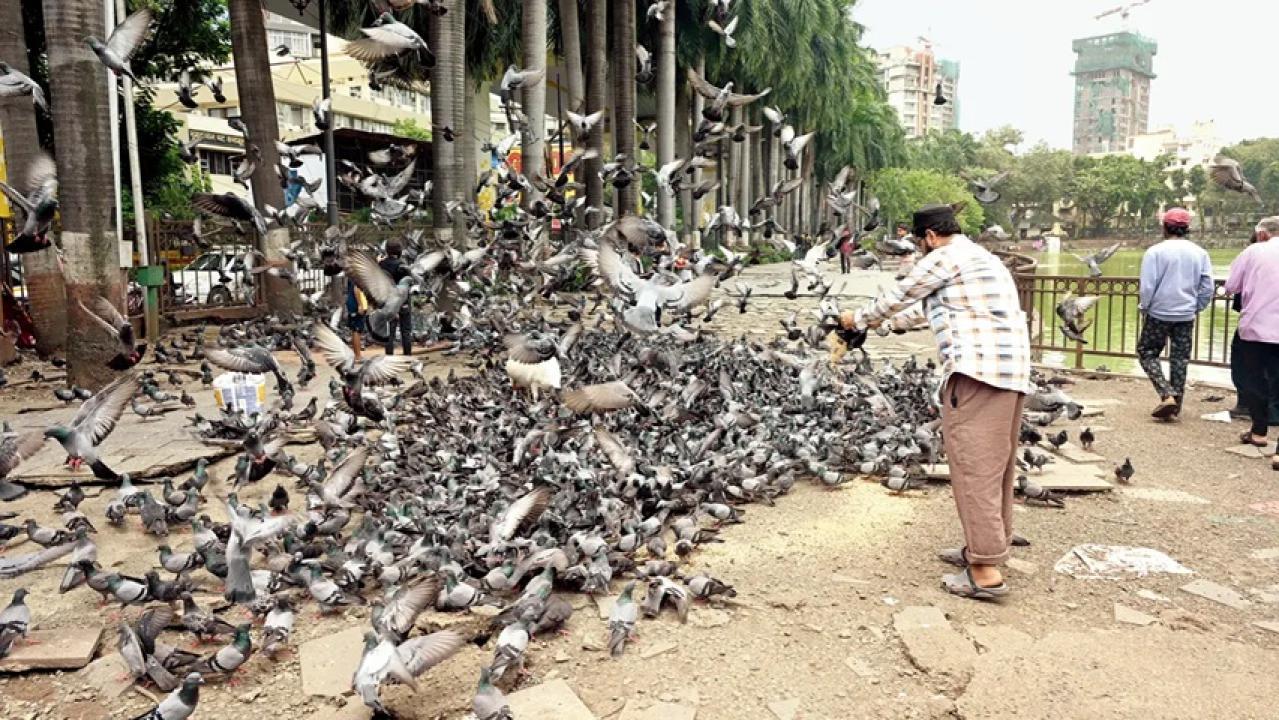 File Pic/Atul Kamble