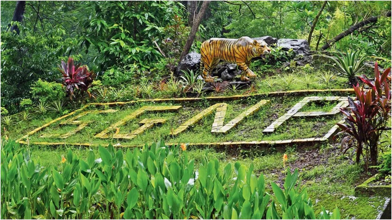 Iमहाराष्ट्र वन विभाग करेगा कैमरा ट्रैप अध्ययन