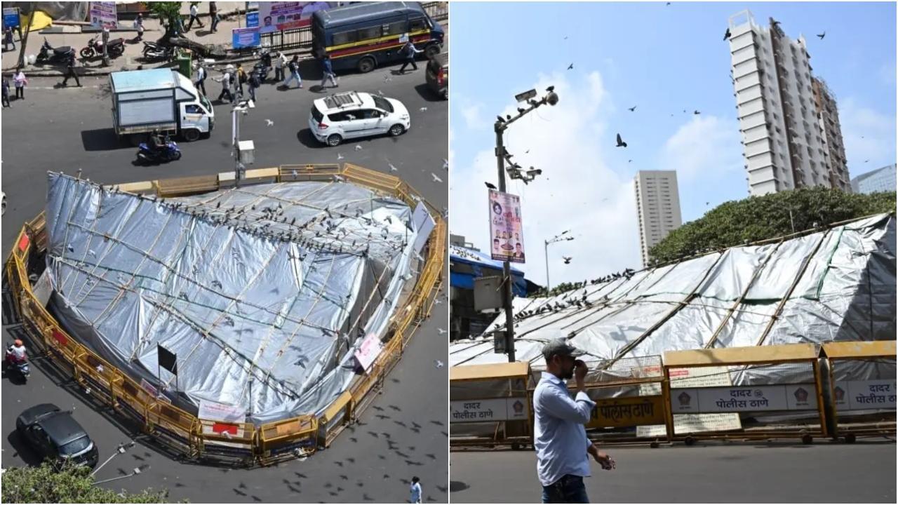 बंद के बाद, कुछ प्रदर्शनकारियों ने कबूतरखानों को जबरन फिर से खोलने की कोशिश की और बीएमसी प्रतिष्ठानों को भी नुकसान पहुँचाया. फ़ाइल चित्र