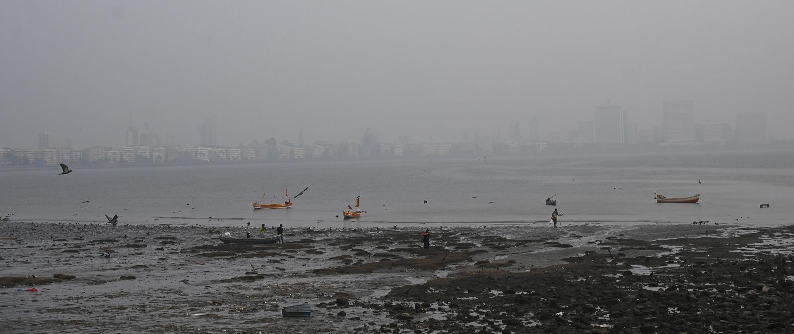 मुख्य प्रदूषक और कारण:  CPCB के आंकड़ों के अनुसार, मुंबई की हवा में PM2.5 और PM10 सबसे प्रमुख प्रदूषक रहे, इसके बाद NO2 का स्थान रहा. विशेषज्ञों ने बताया कि दिवाली के अवसर पर जलाए जाने वाले पटाखे इन प्रदूषकों की मात्रा और विषाक्तता दोनों को बढ़ा देते हैं.