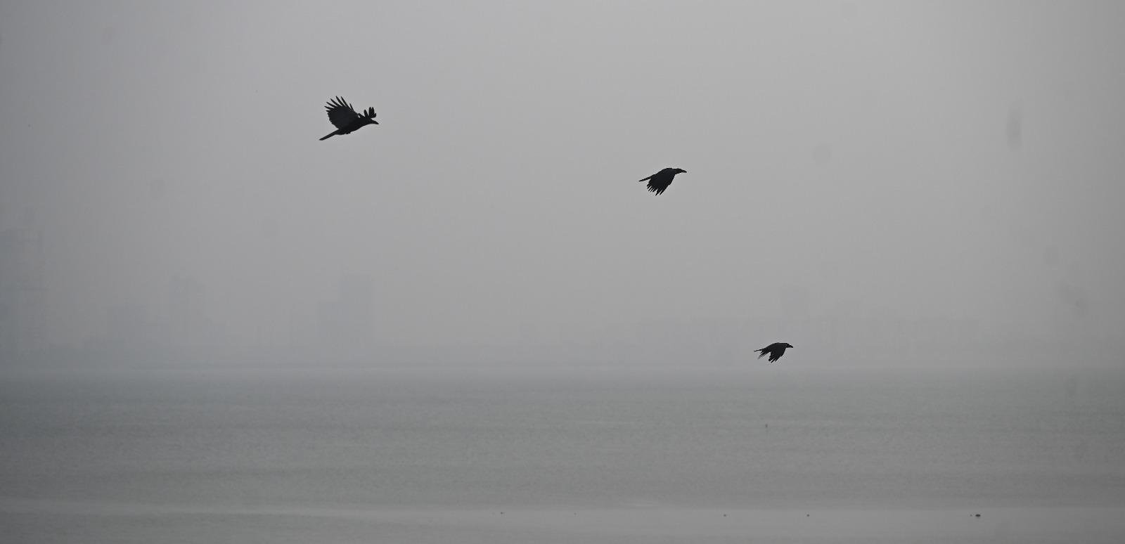 विश्व स्तर पर मुंबई का स्थान:  IQAir के अनुसार, अकेले इस सप्ताहांत में मुंबई दुनिया के छठे सबसे प्रदूषित शहर से दूसरे स्थान पर पहुंच गया, AQI 171 के साथ. दिल्ली पहले स्थान पर रहा (184 AQI), जबकि कोलकाता तीसरे नंबर पर रहा. IQAir 126 शहरों का तुलनात्मक डेटा प्रदान करता है.