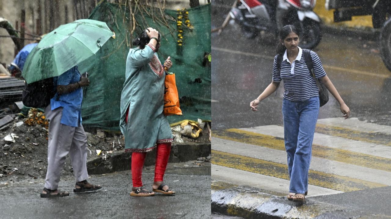 आईएमडी के अनुसार, इस समय मुंबई और उसके आसपास की बारिश का संबंध पूर्व-मध्य अरब सागर में बने एक अवदाब (लो-प्रेशर एरिया) से है, जिसने नमी को पश्चिमी तट की ओर धकेल दिया है.  दिया है.  (Story By: Eshanpriya MS, Pics: ASHISH RAJE) आईएमडी के अनुसार, इस समय मुंबई और उसके आसपास की बारिश का संबंध पूर्व-मध्य अरब सागर में बने एक अवदाब (लो-प्रेशर एरिया) से है, जिसने नमी को पश्चिमी तट की ओर धकेल दिया है.  दिया है.  (Story By: Eshanpriya MS, Pics: ASHISH RAJE)