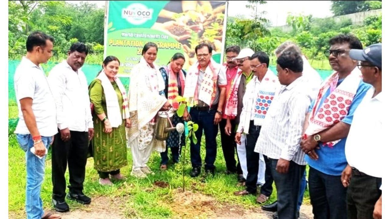 न्युवोको विस्टास