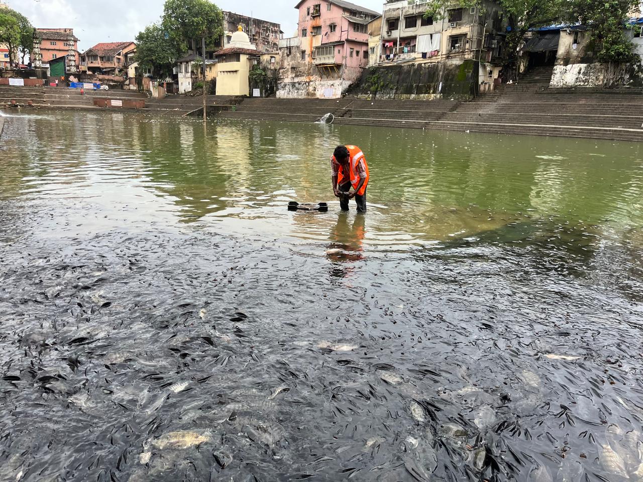 पशु अधिकार कार्यकर्ता स्नेहा विसारिया ने कहा, 