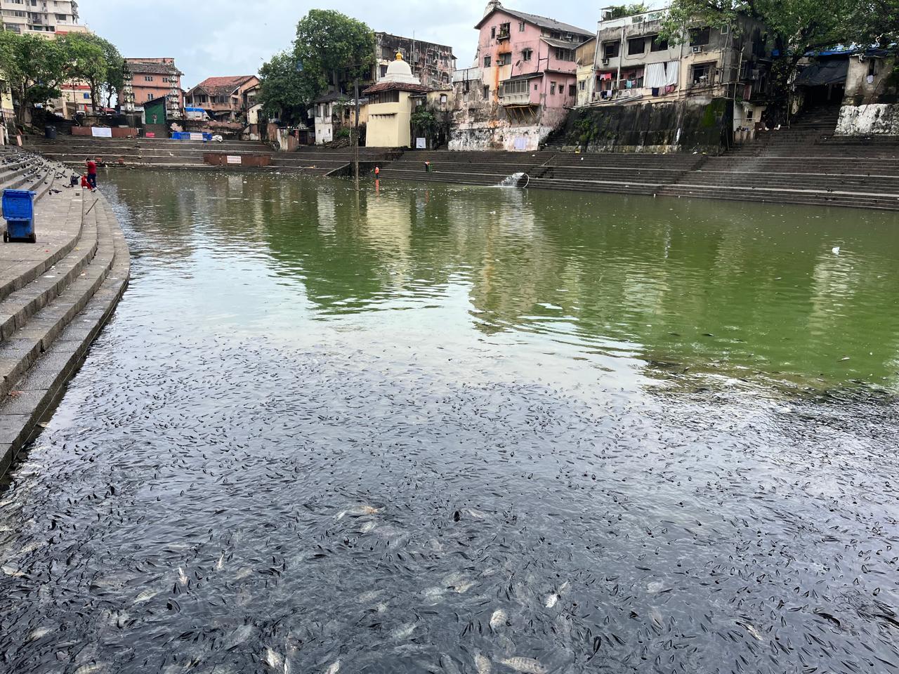 गणेश विसर्जन की तरह, अनुष्ठानों के लिए अलग कृत्रिम तालाब बनाए जा सकते हैं और बाद में जल और ‘निर्माल्य’ का वैज्ञानिक निपटान किया जा सकता है.