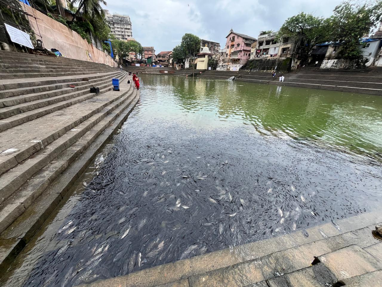 यह घटना पितृ पक्ष के दौरान हुई, जब हर साल बाणगंगा तालाब में अनुष्ठान आयोजित किए जाते हैं. 