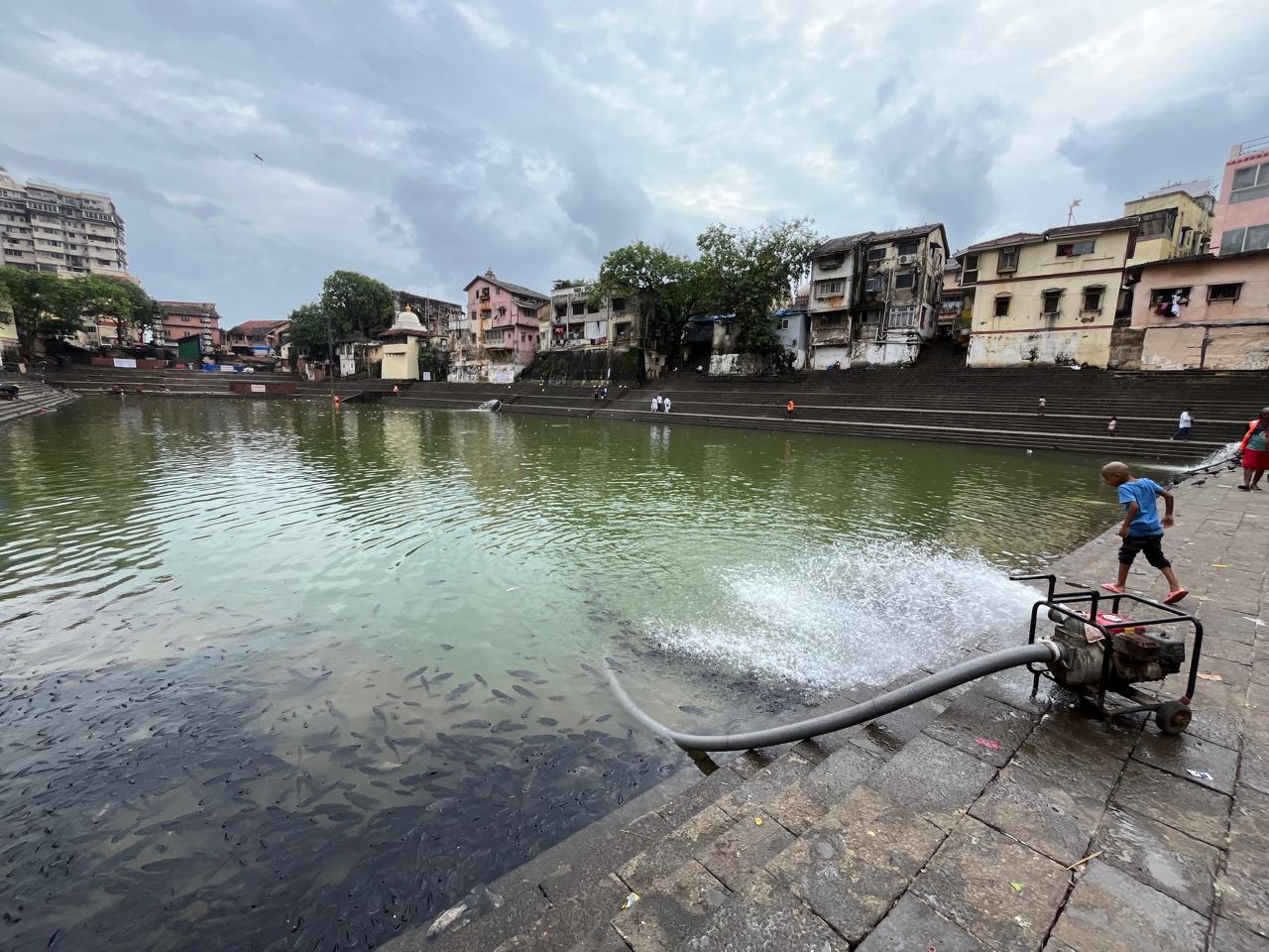 इस घटना ने एक बार फिर नगर निगम की तैयारी और तालाबों में जलीय जीवन की सुरक्षा के महत्व पर सवाल खड़ा कर दिया है.
