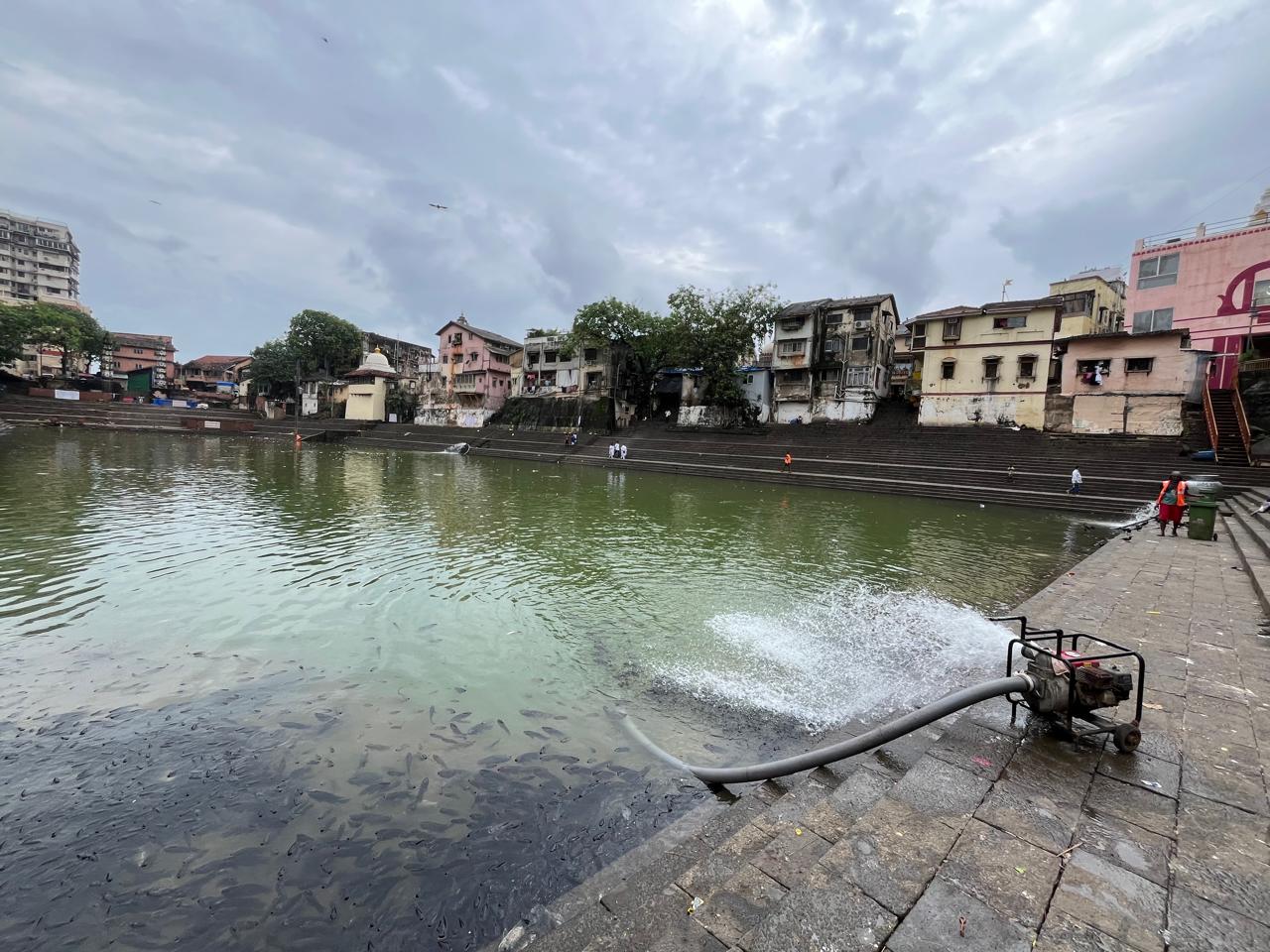 स्थानीय निवासियों ने बीएमसी की नीतियों पर सवाल उठाए. उनका कहना है कि हर साल यह समस्या दोहराई जाती है, लेकिन जलीय जीवन और जल गुणवत्ता की सुरक्षा के लिए कोई ठोस नीति नहीं है. 