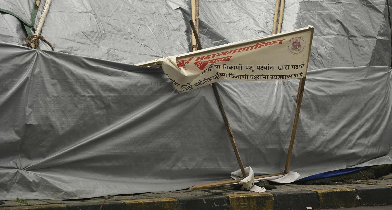 बता दें, बॉम्बे हाईकोर्ट के आदेश के बाद मुंबई महानगर पालिका (बीएमसी) ने कबूतरों को दाना डालने वालों के खिलाफ सख्त कार्रवाई शुरू की है. 