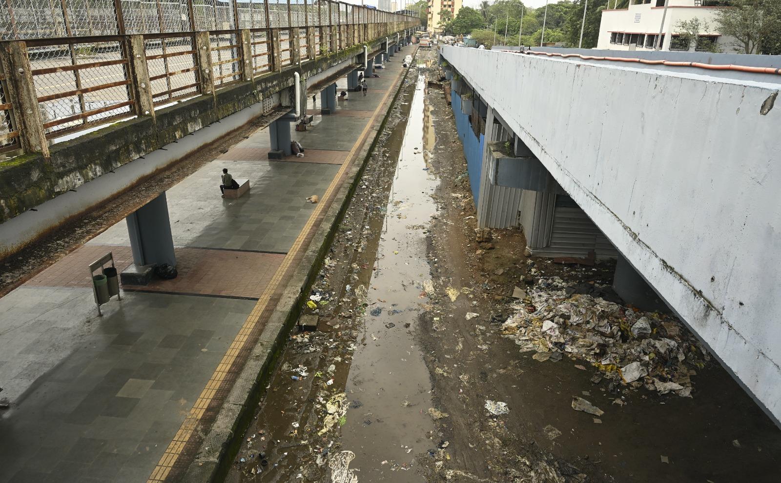 बारिश के पानी के कारण यह कचरा न केवल दुर्गंध फैलाता है, बल्कि सड़क पर फिसलन और कीटाणुओं का खतरा भी बढ़ा देता है.